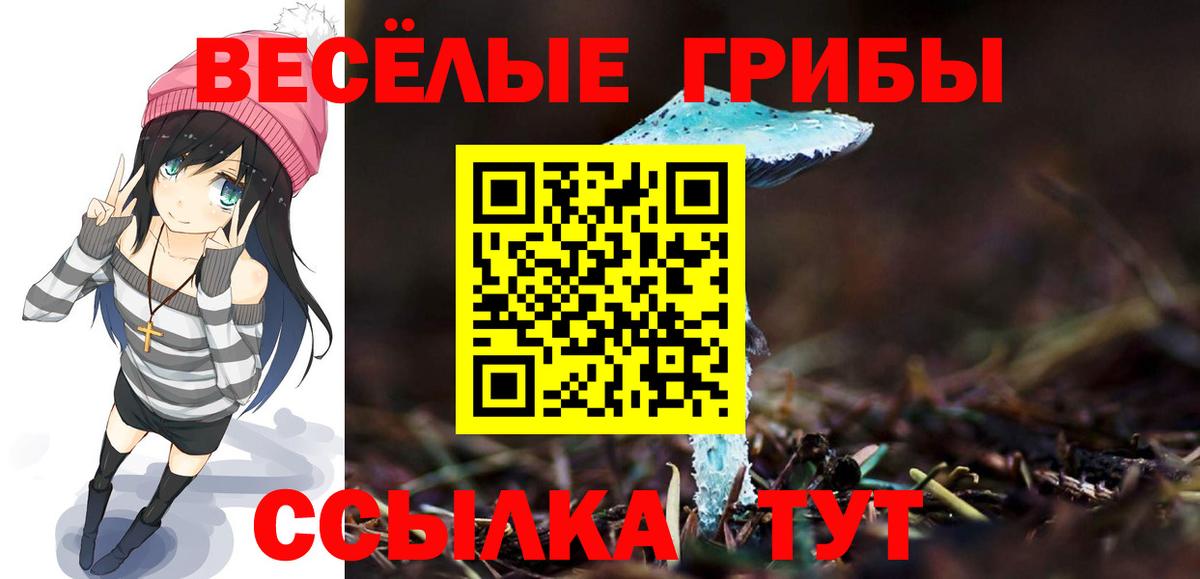 Псилоцибиновые грибы GOLDEN TEACHER Пенза