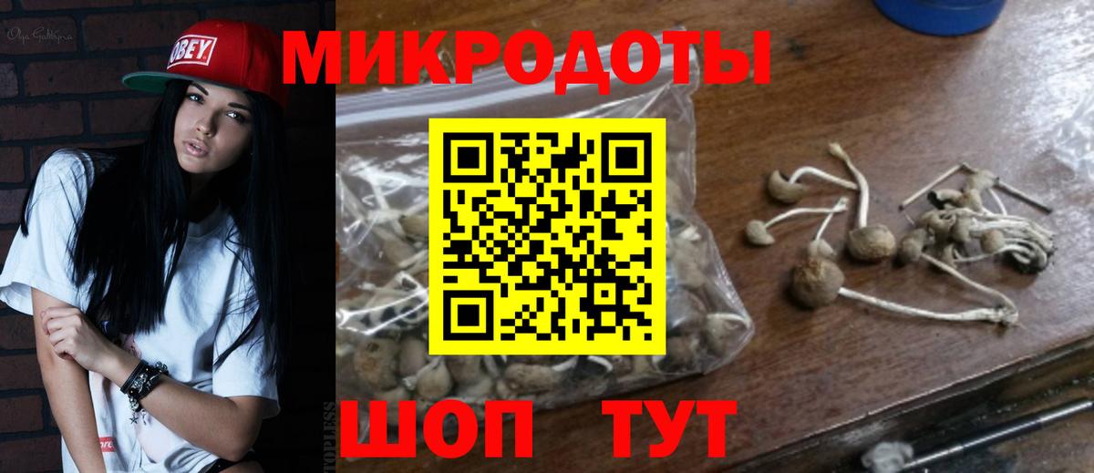 Пенза  Псилоцибиновые грибы GOLDEN TEACHER  Вход с VPN 